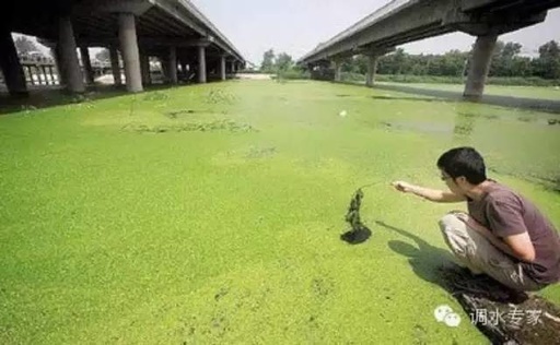 水質(zhì)檢測送樣需知